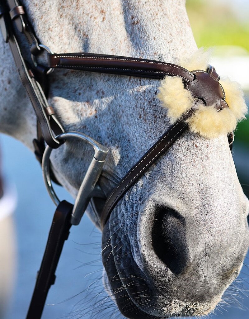 Arion Arion Figure 8 Bridle Brown Full