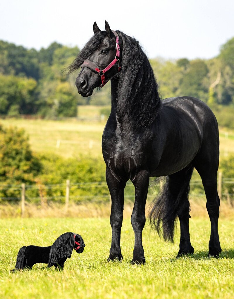 LeMieux LeMieux Toy Pony Spike