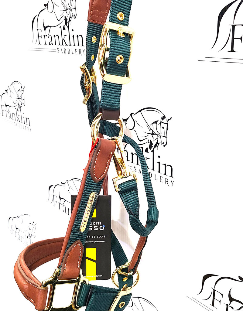 LUSSO Lusso Padded Breakaway Halter Hunter Green