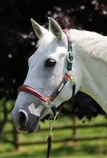 LUSSO Lusso Padded Breakaway Halter Hunter Green