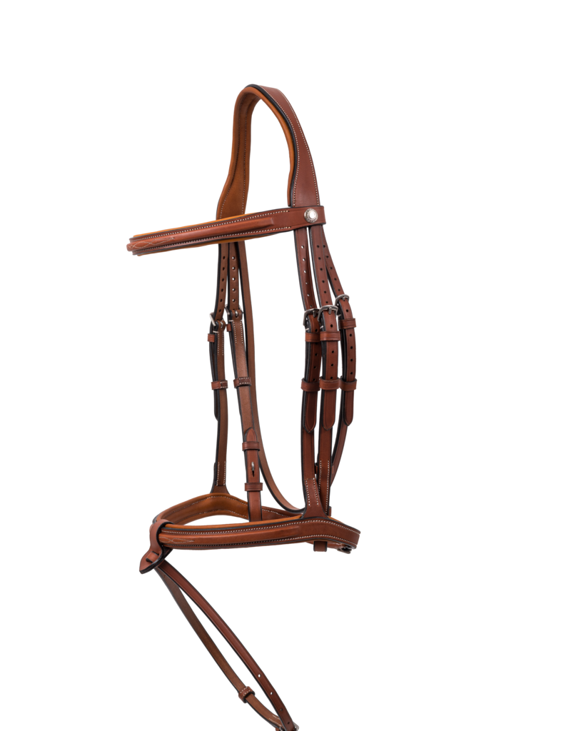 Butet *New* Butet Premium Flash Noseband Bridle Gold Full