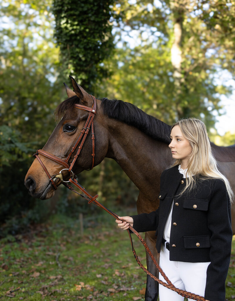 Butet *New* Butet Premium Flash Noseband Bridle Gold Full