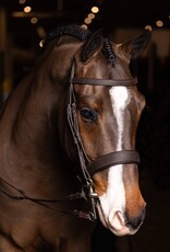 LeMieux LeMieux Flat Hunter Bridle with Laced Reins Havana/Silver Full
