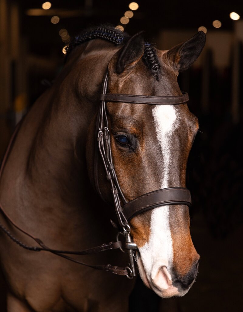 LeMieux LeMieux Flat Hunter Bridle with Laced Reins Havana/Silver Full