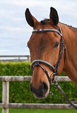 Jump In Jump'In ONE Clincher Bridle Havana Full
