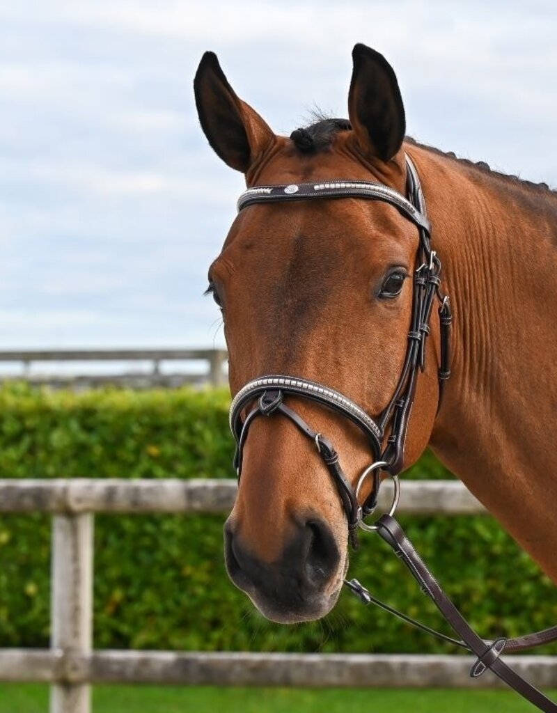 Jump In Jump'In ONE Clincher Bridle Havana Full