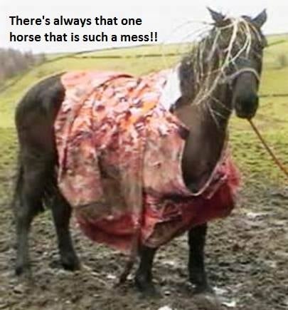 Time to wash those winter blankets!