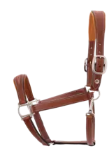 Butet New Butet Leather Halter Gold