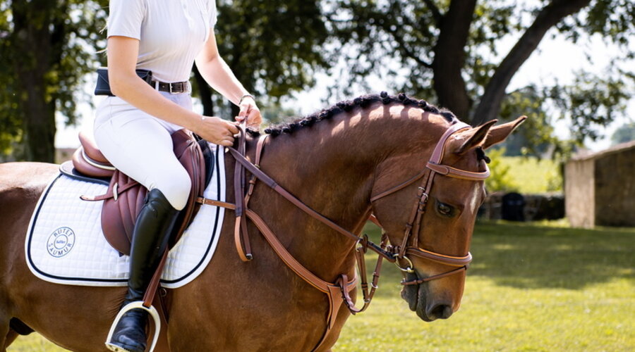 Brownland Farm No Frills unrated hunter/jumper shows 2025