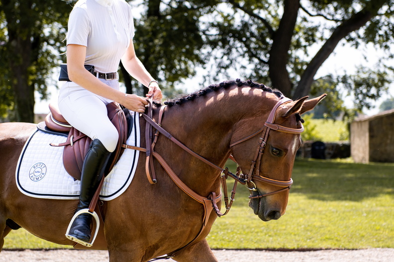Brownland Farm No Frills unrated hunter/jumper shows 2025