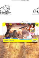 Breyer Breyer Birthday at the Barn Set