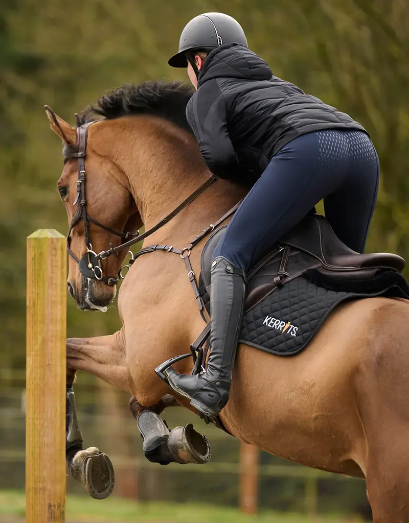 Kerrits Kerrits Ladies Tailored 3-Season Full Seat Breech Galaxy Blue