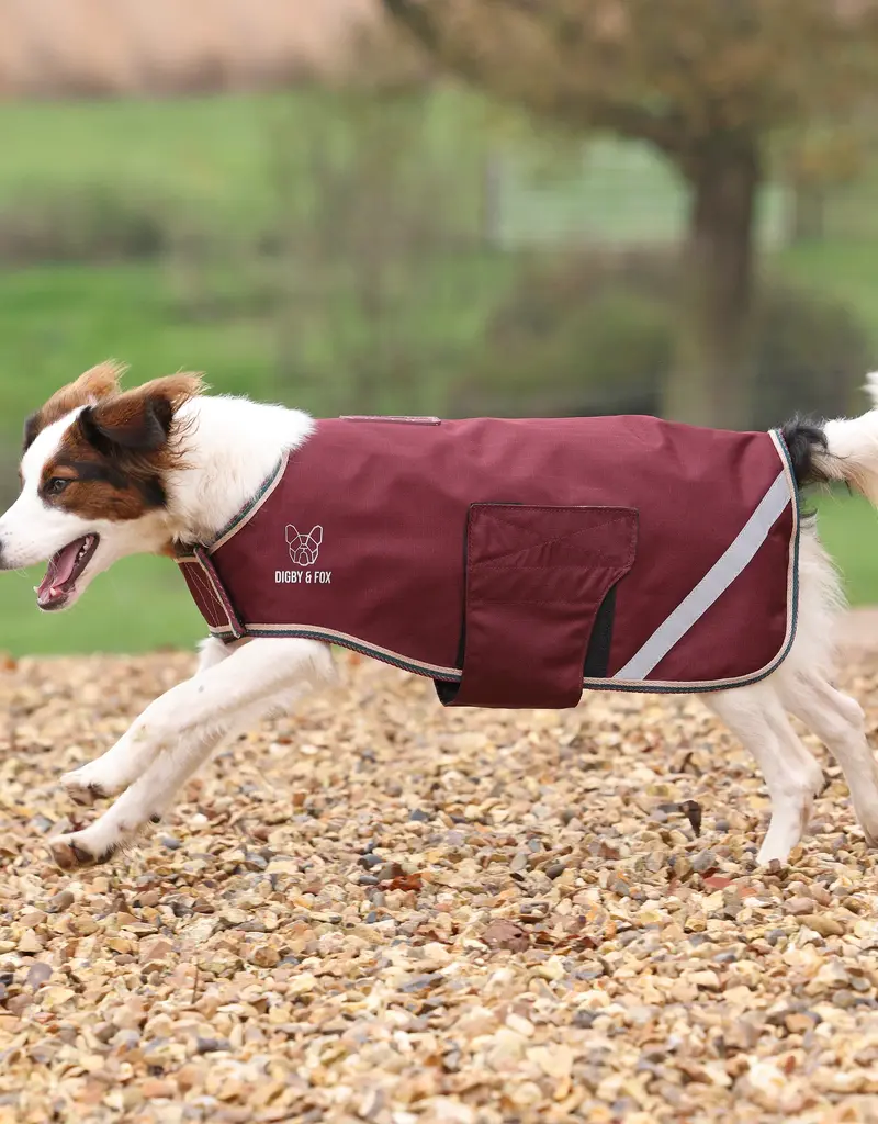 Aubrion Digby and Fox Lite Waterproof Dog Coat Maroon