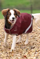 Aubrion Digby and Fox Lite Waterproof Dog Coat Maroon
