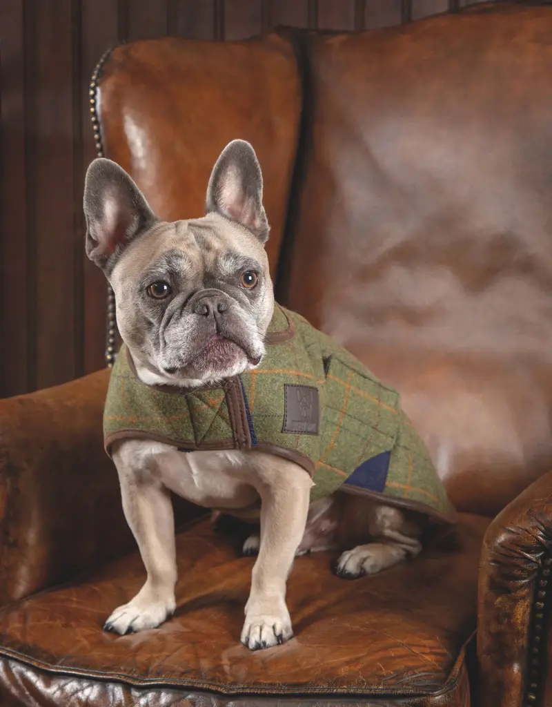 Digby and Fox Digby and Fox Tweed Dog Coat