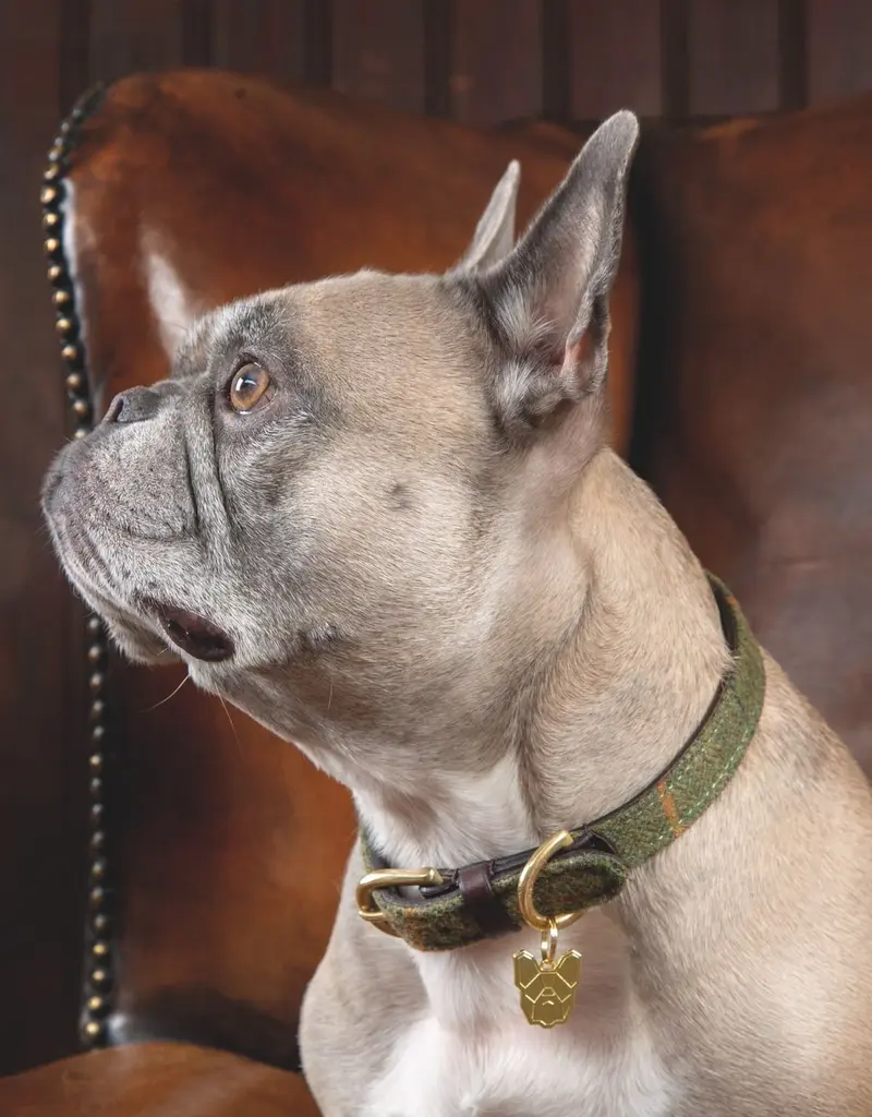 Digby and Fox Digby and Fox Tweed Dog Collar