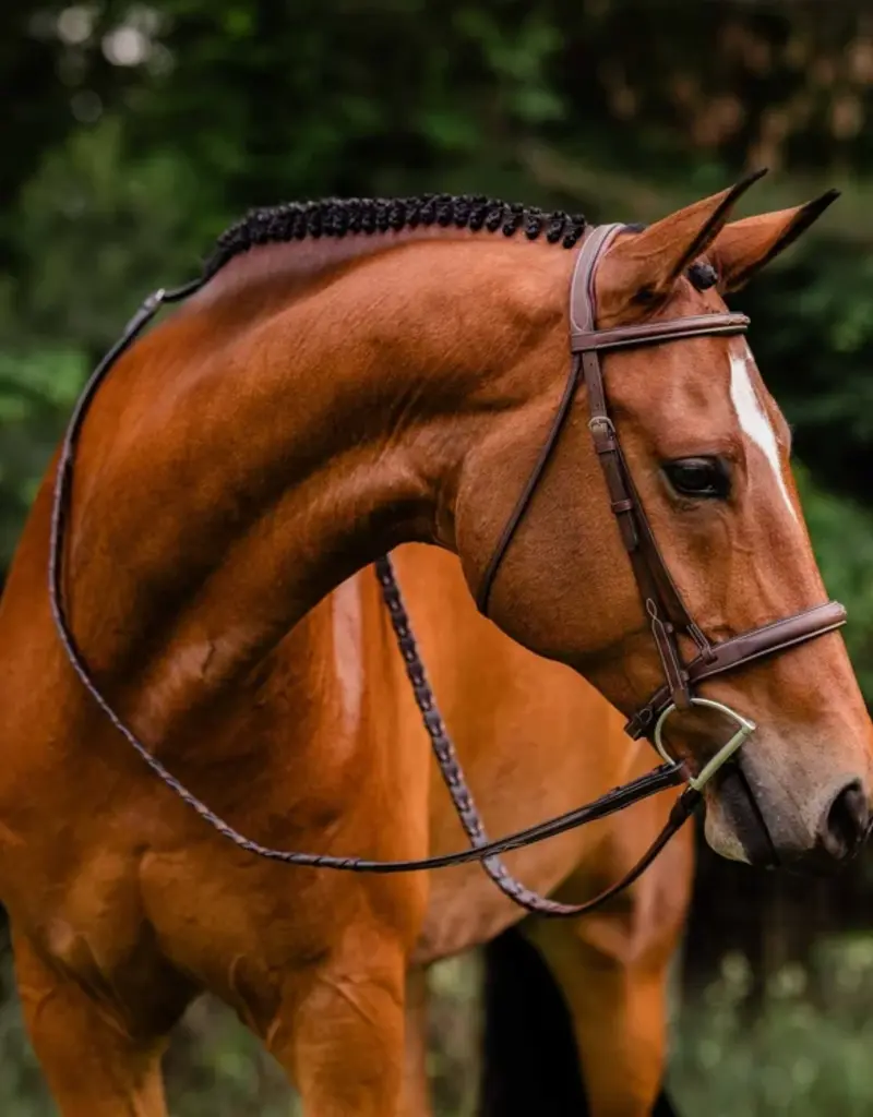 ADT Tack ADT Tack Stealth Tribute Hunter Bridle w/ Raised Fancy Laced Reins