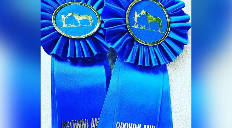 Franklin Saddlery presents the 2026 Brownland Farm $5000 Non-Pro Hunter Derby!