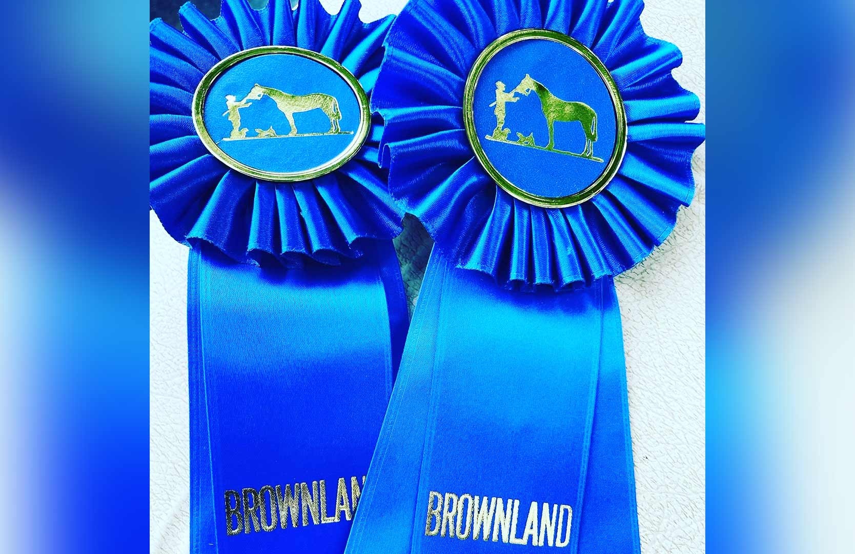Franklin Saddlery presents the 2026 Brownland Farm $5000 Non-Pro Hunter Derby!