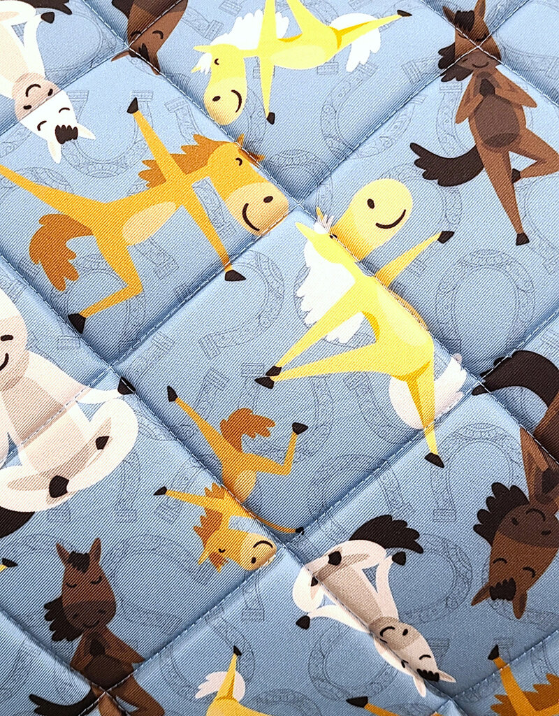 Dreamers & Schemers Dreamers And Schemers Pony Pilates Saddle Pad