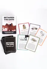 Stable Mind Between The Ears Equestrian Affirmation Deck