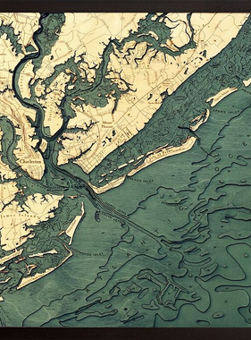 Charleston Wood Map 24.5” x 31”