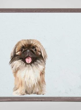 Pekingese - Happy Square