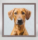 Best Friend - Rhodesian Ridgeback 6" x 6"