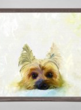 Best Friend - Yorkie 6” x 6”