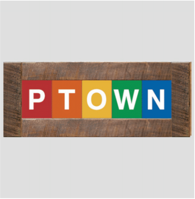 PTOWN Rainbow Tiles Framed  28.5"L x 11"H