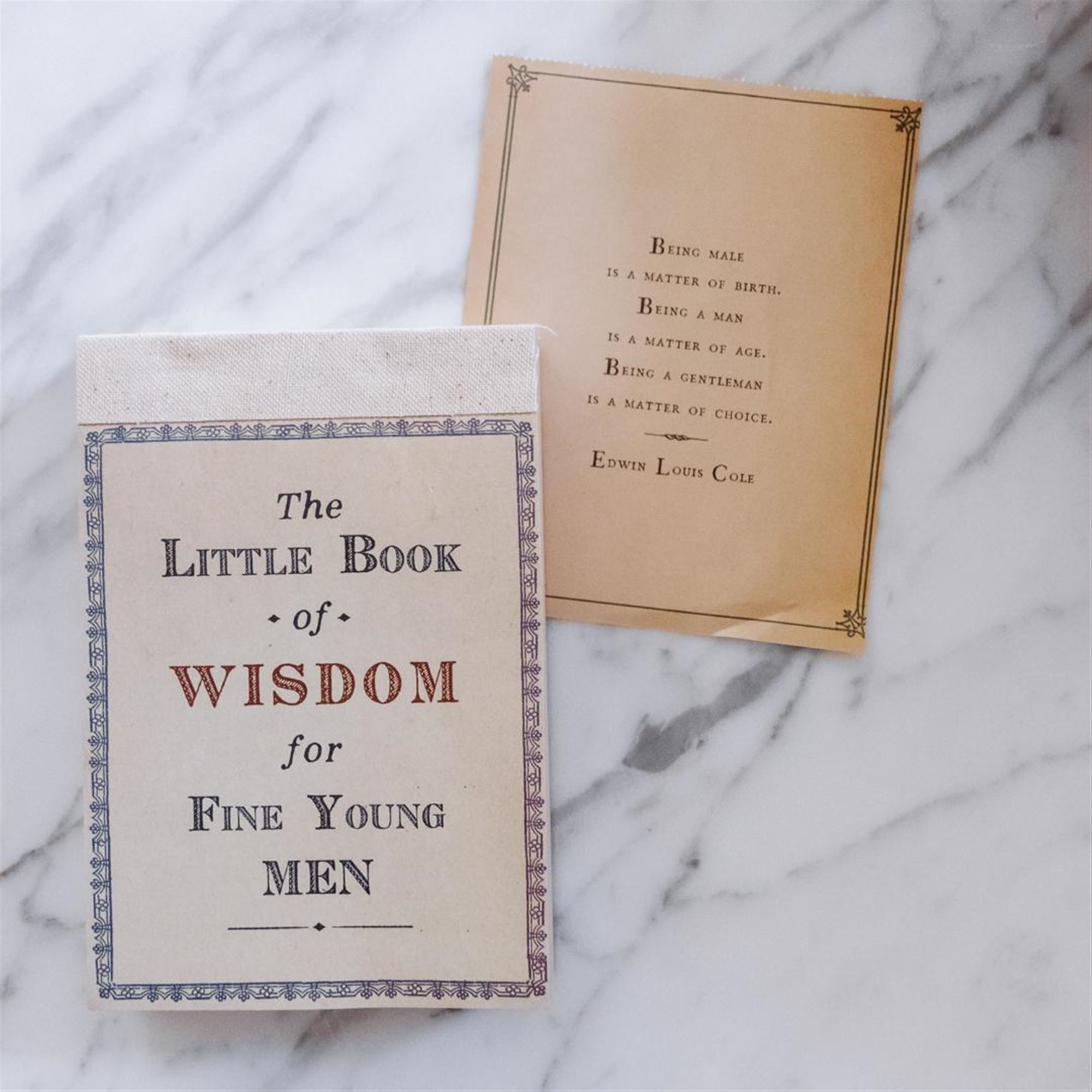 The Little Book of Wisdom for Fine Young Men