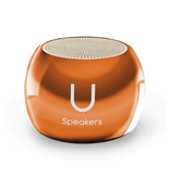 Boost Speaker - Mirror Rose Gold