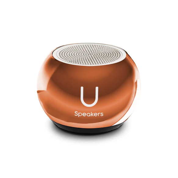 Mini Speaker - Mirror Rose Gold