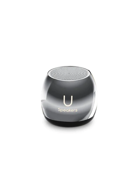 Micro Speaker - Hematite