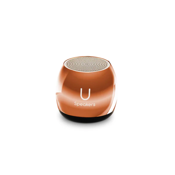 Micro Speaker - Mirror Rose Gold