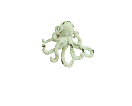 Pull Knob - Octopus White