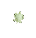 Pull Knob - Sea Turtle White