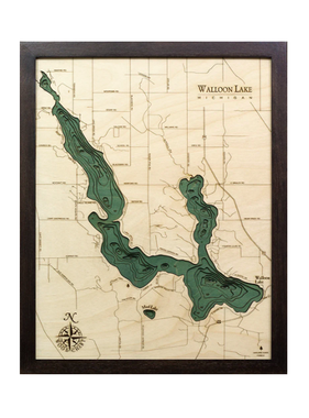 Walloon Lake Wood Map