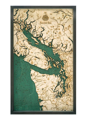 Salish Sea Tray