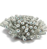 B18 - Coral Large Light Blue