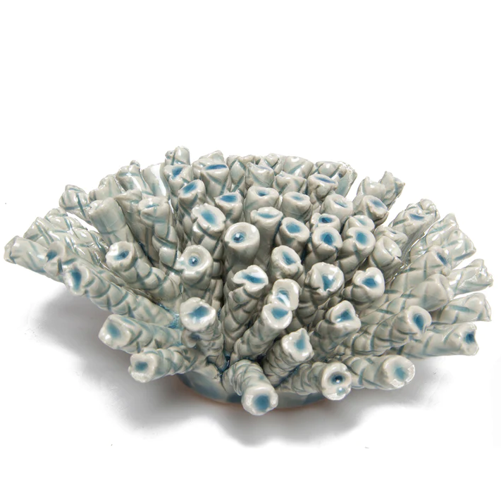 Coral 12 Large - Light Blue 18