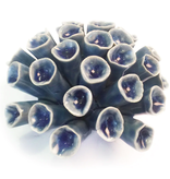 B13 - Coral 12 Medium Light Blue