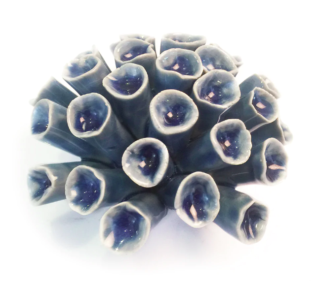 B13 - Coral 12 Medium Light Blue