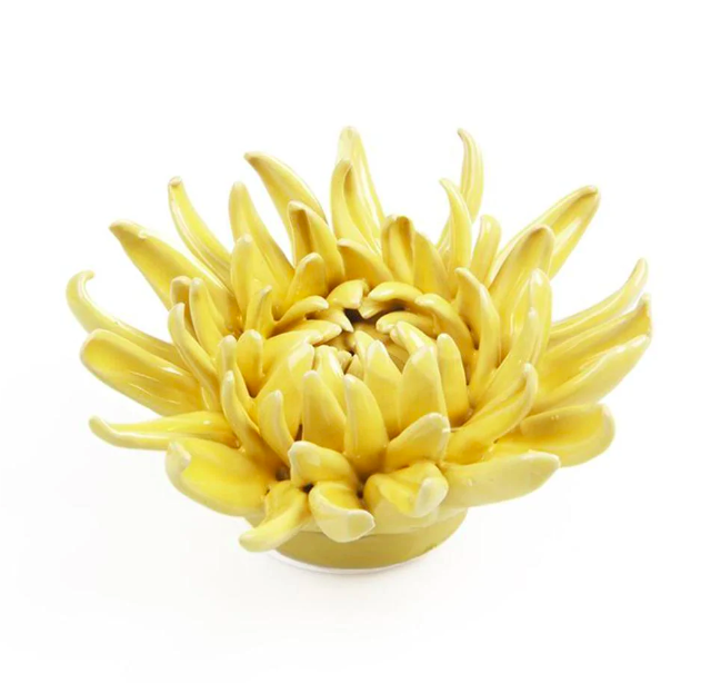 Coral 6 Mum - Yellow 16