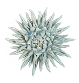 B06 - Coral 6 Large Blue