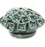 B01 - Coral 12 Medium Teal