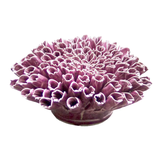 *B07 - Coral - Anemone Large Purple