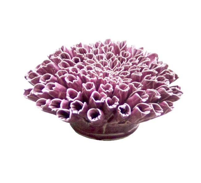 Coral 5 Anemone Large - Purple