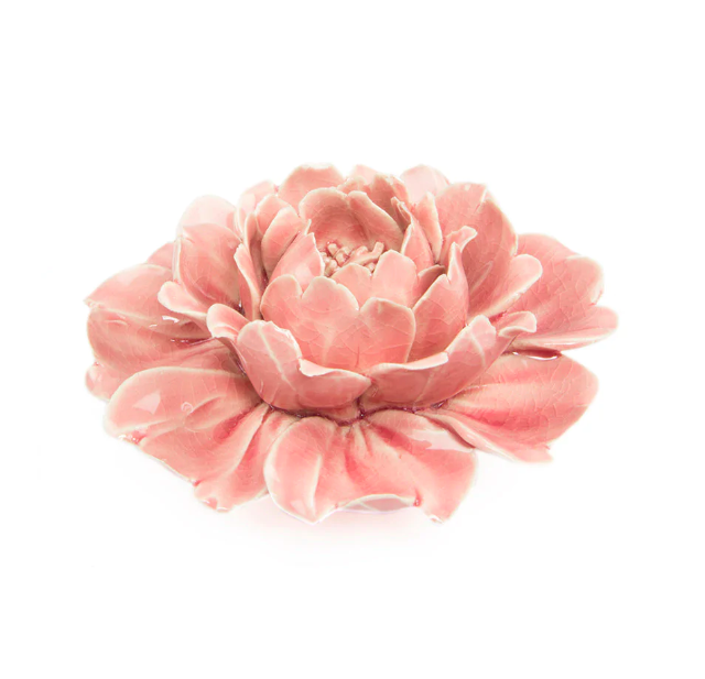 Coral 5 - Rose Pink 17