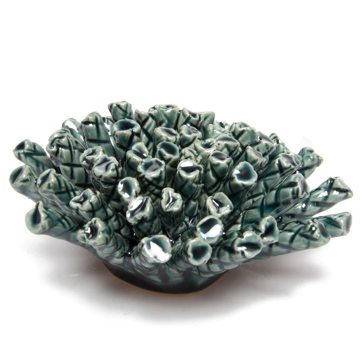 Coral 1 Medium - Teal 20